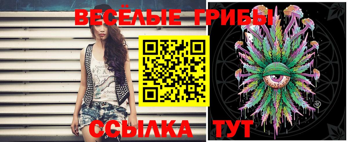 Галлюциногенные грибы мицелий Сочи