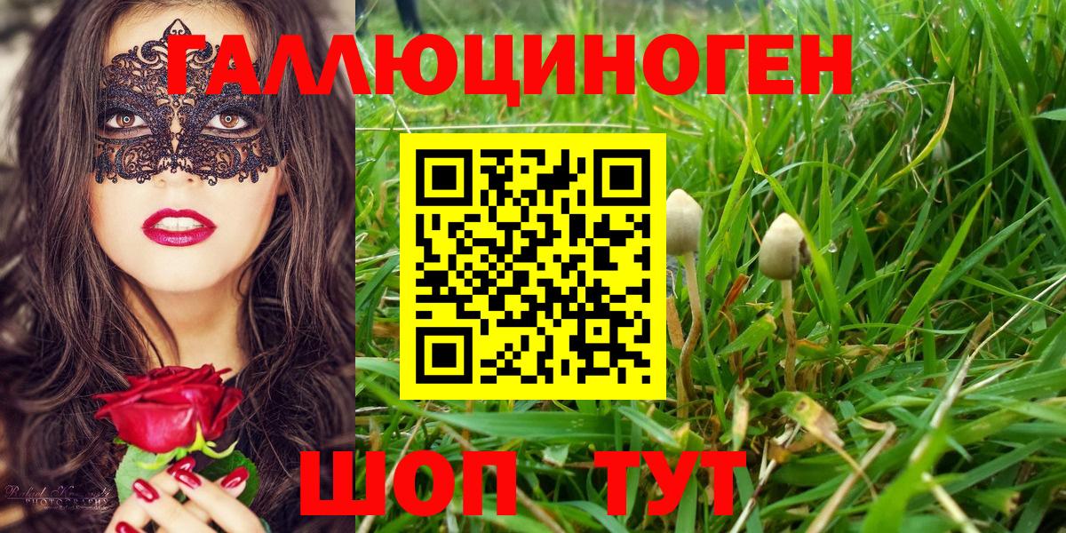 Сочи  Галлюциногенные грибы Magic Shrooms  Вход с VPN 